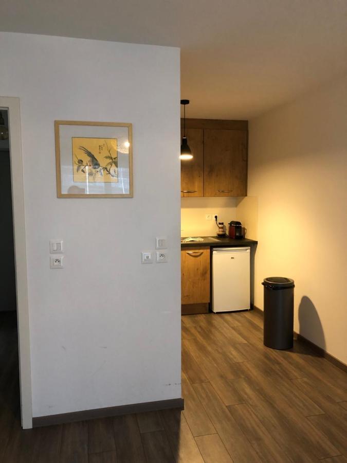 F2 Cote Ugc Climatise Plein Centre Parking Gratuit Apartamento Estrasburgo Exterior foto